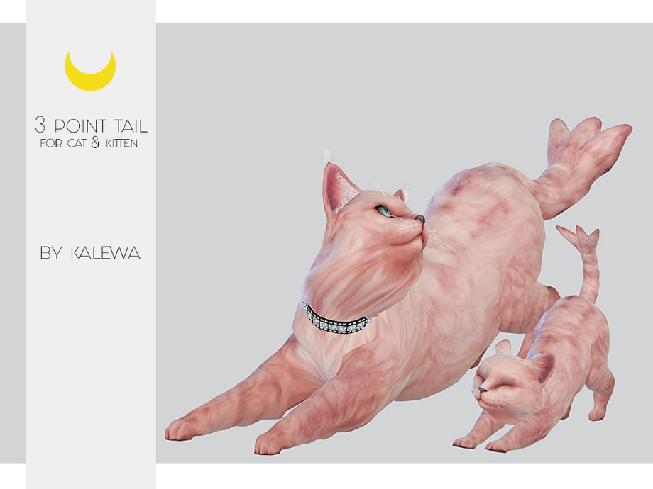 Kalewa a Cat Kitten Three Point Tail