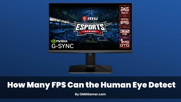 10 Best Higher Refresh Rate Monitors in 2025 [Gaming PC]